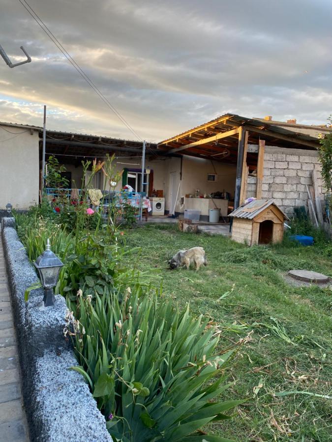 Udabno Mamuka'S Guesthouse מראה חיצוני תמונה
