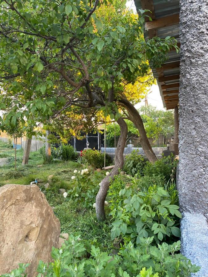 Udabno Mamuka'S Guesthouse מראה חיצוני תמונה