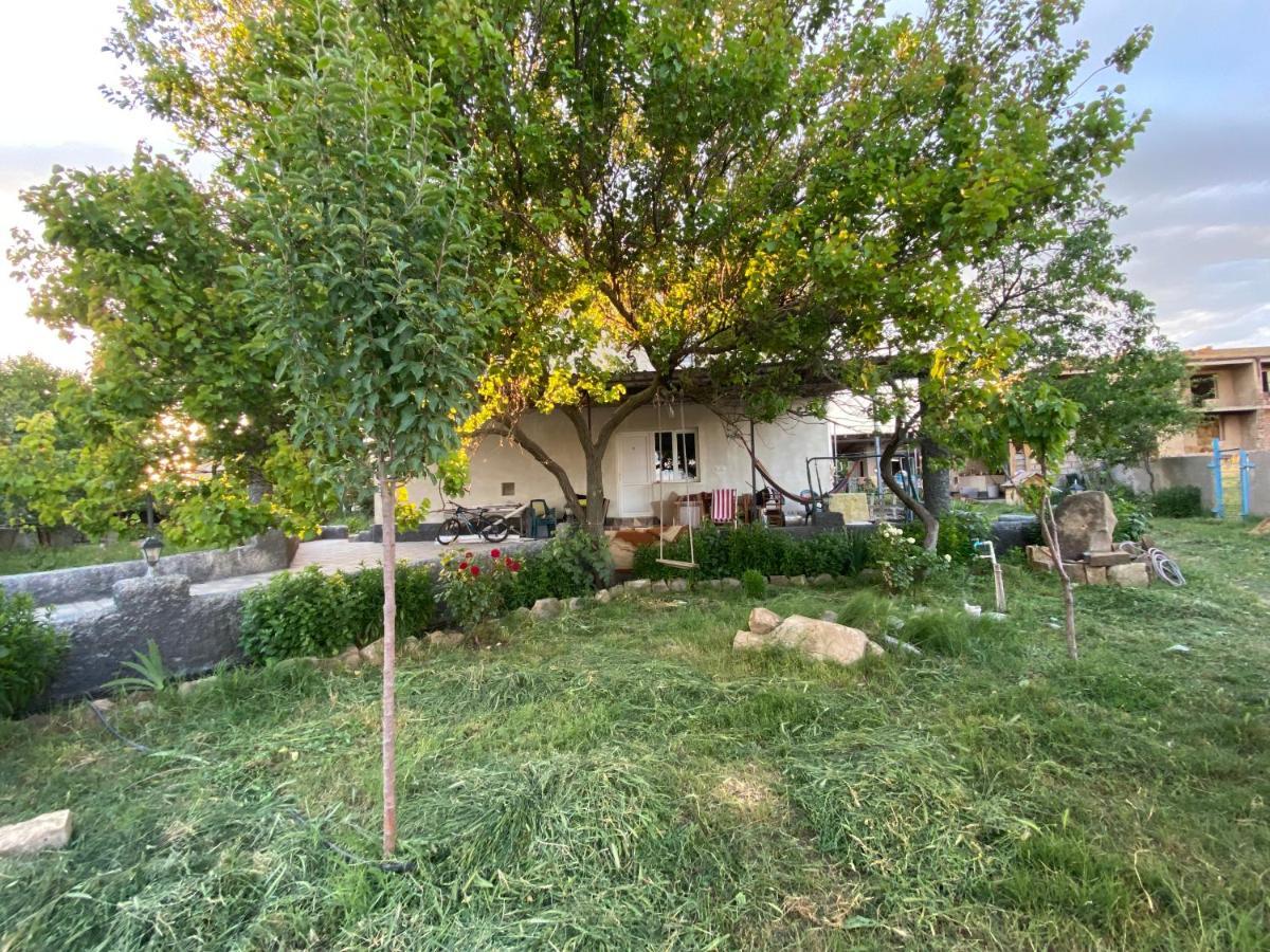 Udabno Mamuka'S Guesthouse מראה חיצוני תמונה