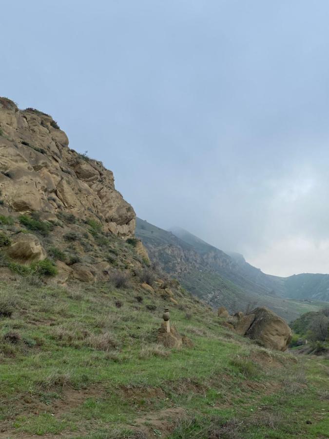 Udabno Mamuka'S Guesthouse מראה חיצוני תמונה
