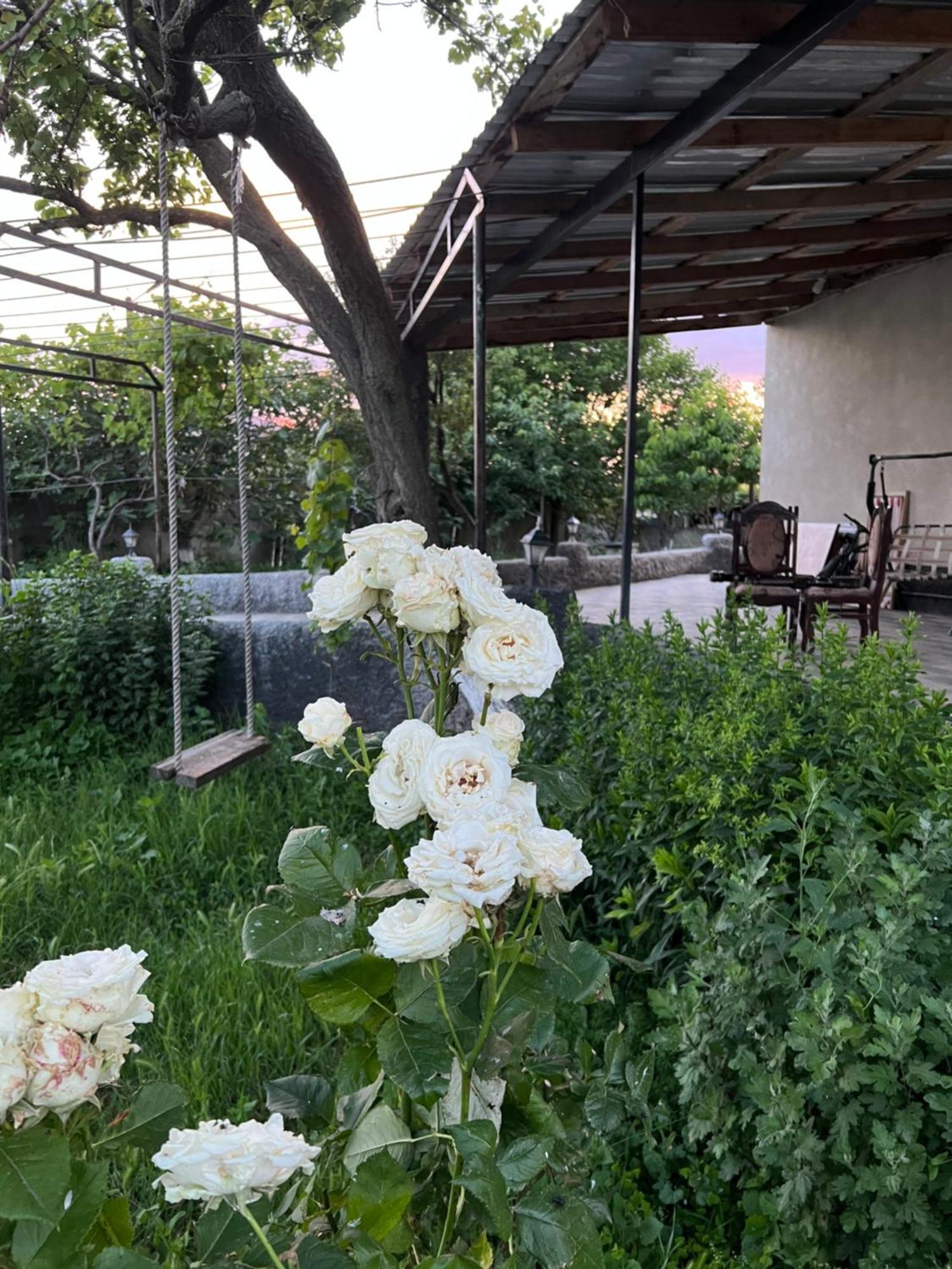 Udabno Mamuka'S Guesthouse מראה חיצוני תמונה