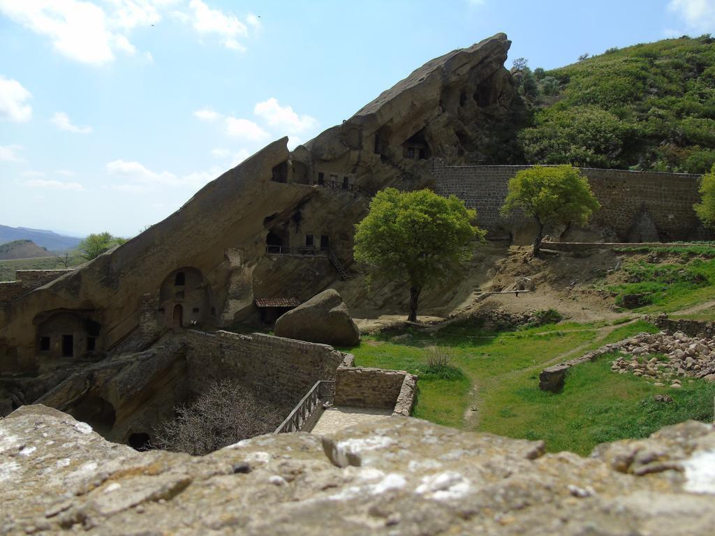 Udabno Mamuka'S Guesthouse מראה חיצוני תמונה
